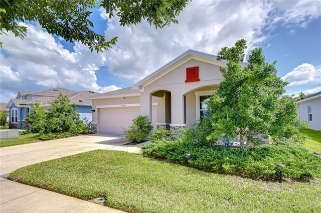15371 CARAVAN AVENUE, Odessa, FL 33556