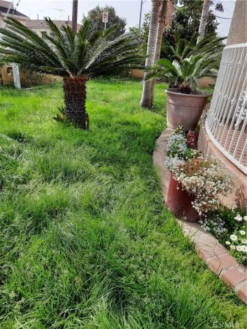 10701 Doty Ave, Inglewood, CA 90303