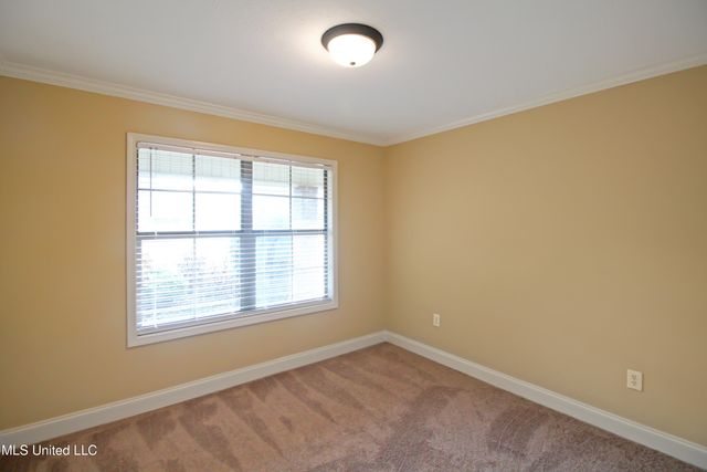 810 Windlass Cove, Brandon, MS 39047