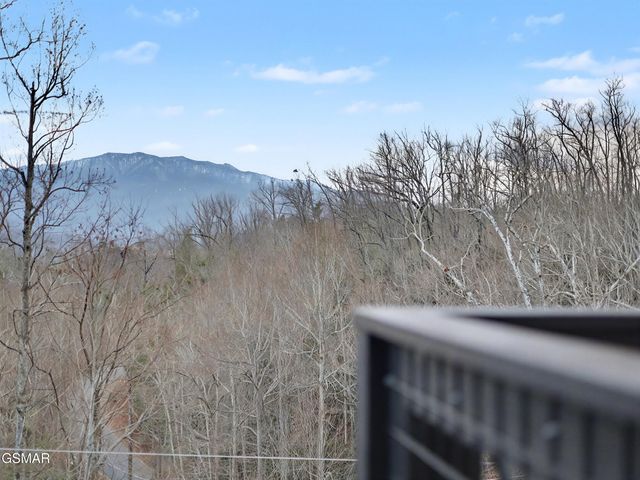 617 Big Bear Ridge Road, Gatlinburg, TN 37738