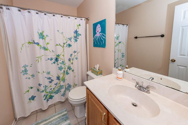 294 Jardinere Walk, Mount Pleasant, SC 29464