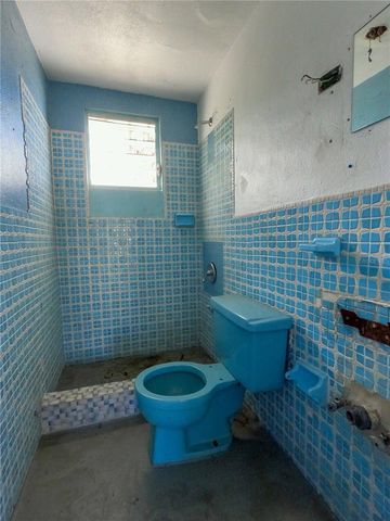 2 CALLE RICHARDSON, Vieques, PR 00765