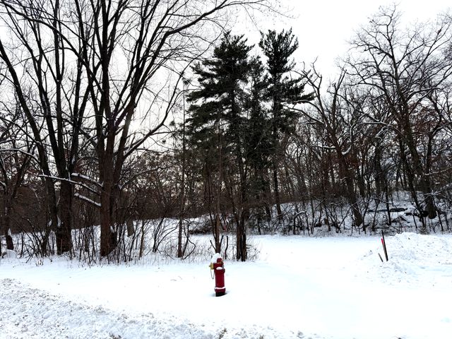 371 Totem Road, Saint Paul, MN 55119