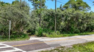 4300 Burkholm Road, Mims, FL 32754