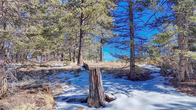 79 Huntsman Circle, Florissant, CO 80816