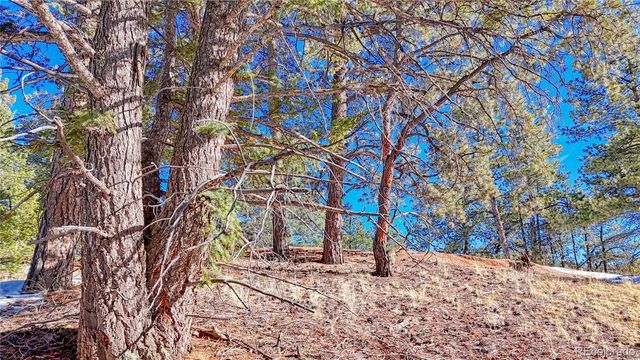 79 Huntsman Circle, Florissant, CO 80816