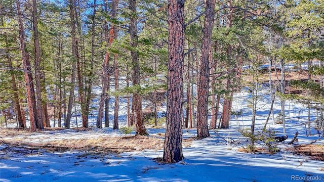 79 Huntsman Circle, Florissant, CO 80816