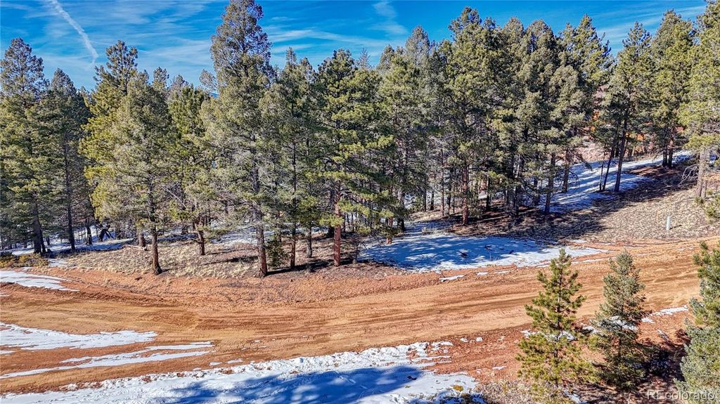 79 Huntsman Circle, Florissant, CO 80816