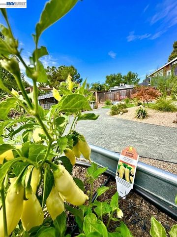 1992 Heaton Circle, Concord, CA 94520