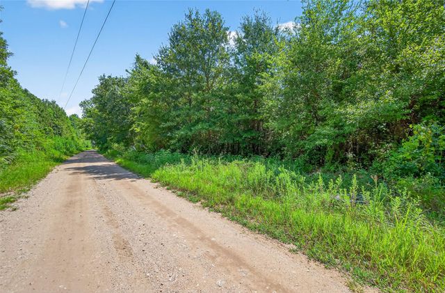 TBD Palmetto Road, Magnolia, TX 77354