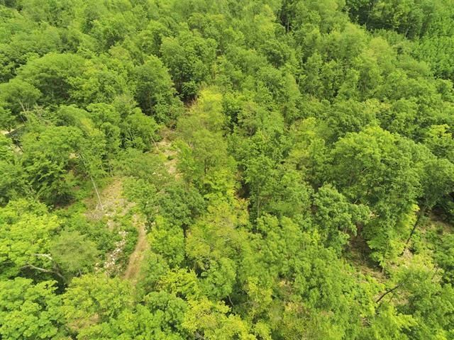 000 Upper Plains Road, Salisbury, VT 05769