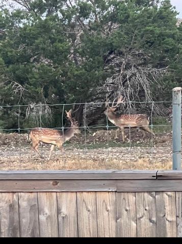 11305 Sentinel DR, Austin, TX 78747