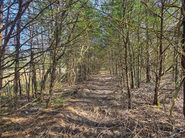 1768 Fayetteville Hwy, Belfast, TN 37019