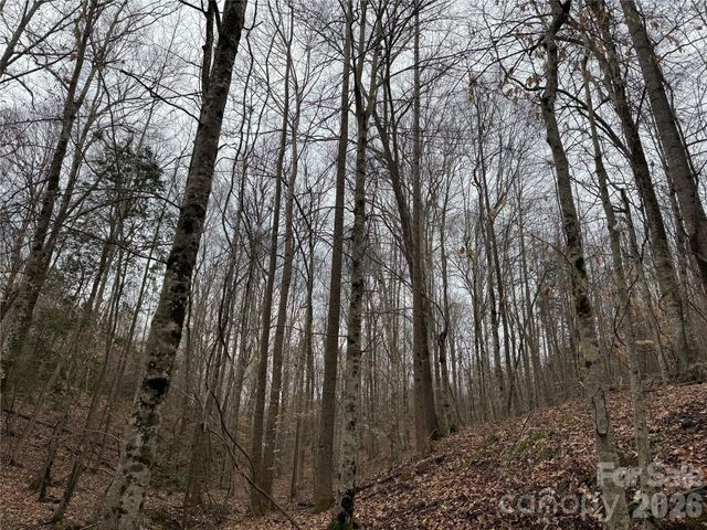 3465 Highway 92 None, Enoree, SC 29335