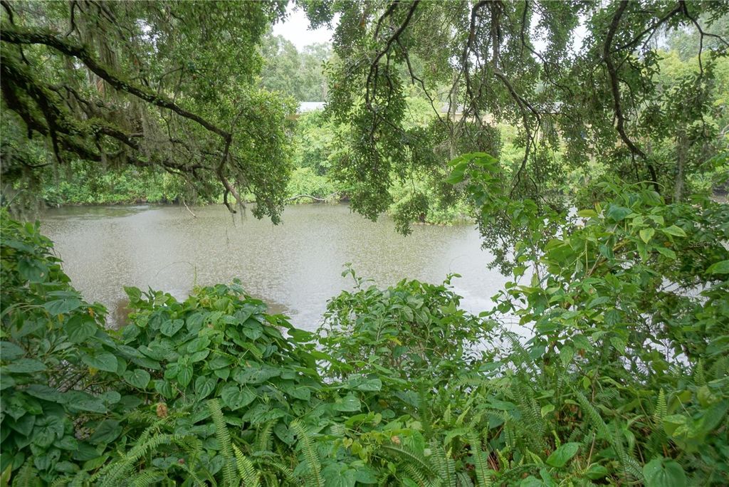 1424 E PARK CIRCLE, Tampa, FL 33604