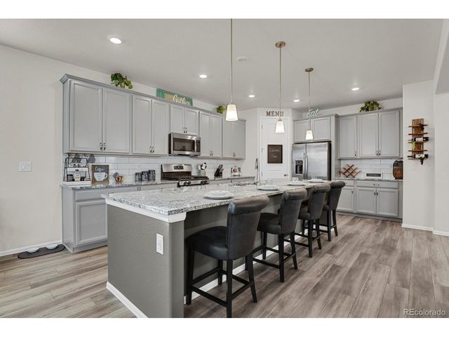 3192 Greenery Dr, Castle Rock, CO 80109