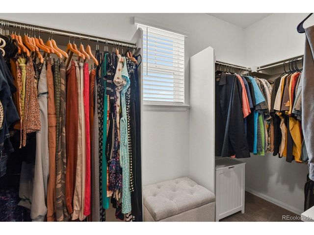 3192 Greenery Dr, Castle Rock, CO 80109