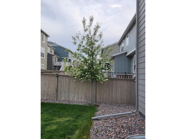 3192 Greenery Dr, Castle Rock, CO 80109