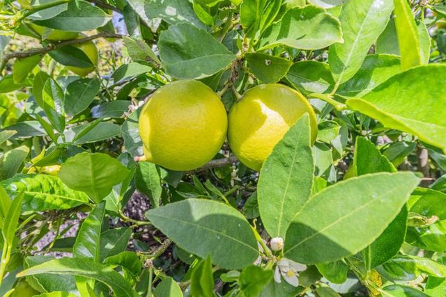 1986 Luxton Street, Seaside, CA 93955