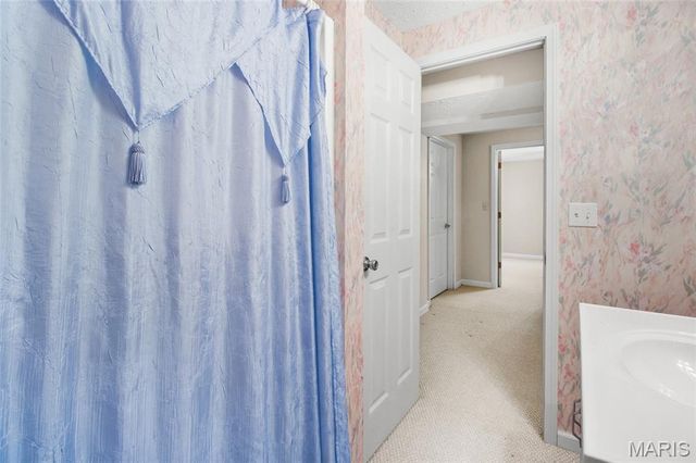 1819 Pullman, Festus, MO 63028