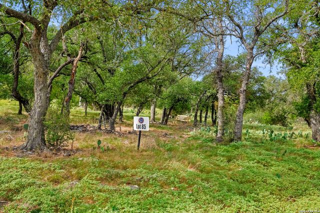 LOT 85 Axis Circle, Fredericksburg, TX 78624
