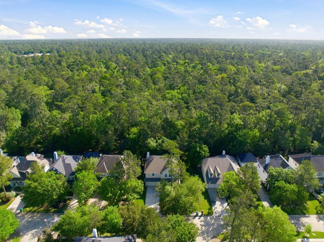 158 Lattice Gate Street, Spring, TX 77382