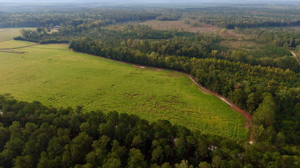 TBD Terrell's Bay Rd., Marion, SC 29571 — photo 2