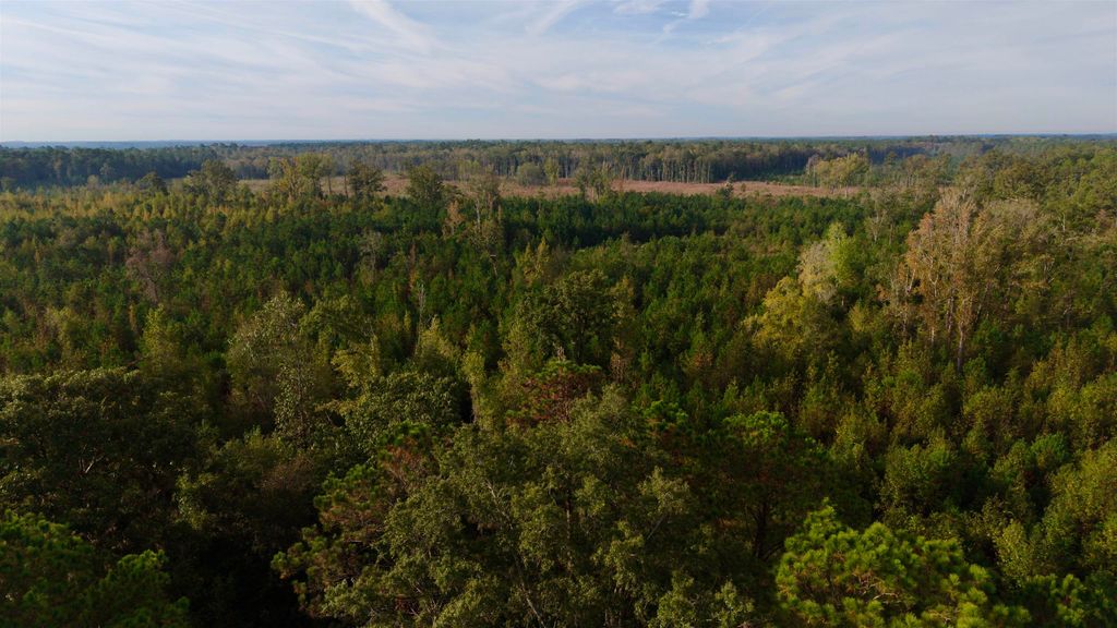 TBD Terrell's Bay Rd., Marion, SC 29571 — photo 3