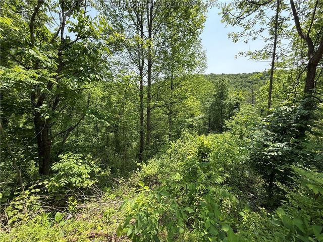 160 Pine Street, Charleston, WV 25311