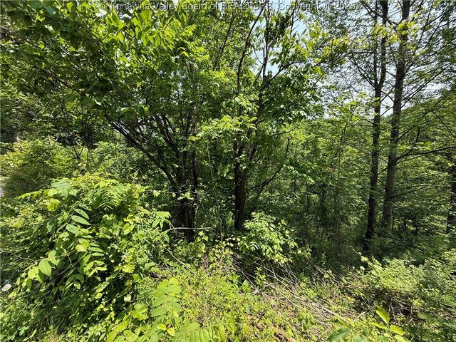 160 Pine Street, Charleston, WV 25311