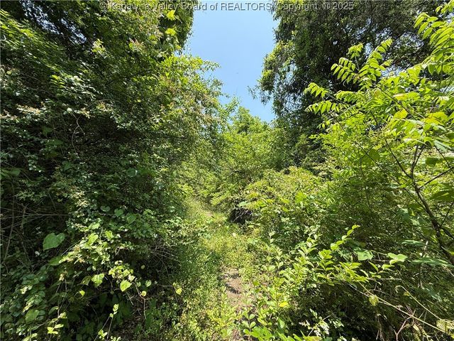 160 Pine Street, Charleston, WV 25311