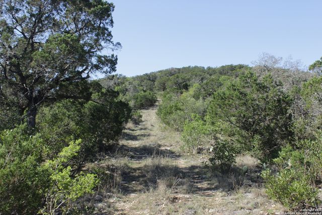1976 W cedar creek, Leakey, TX 78873