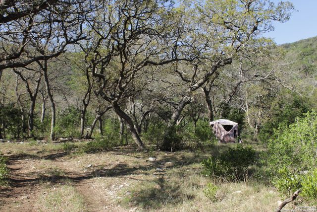 1976 W cedar creek, Leakey, TX 78873