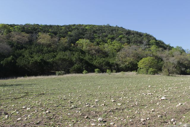 1976 W cedar creek, Leakey, TX 78873