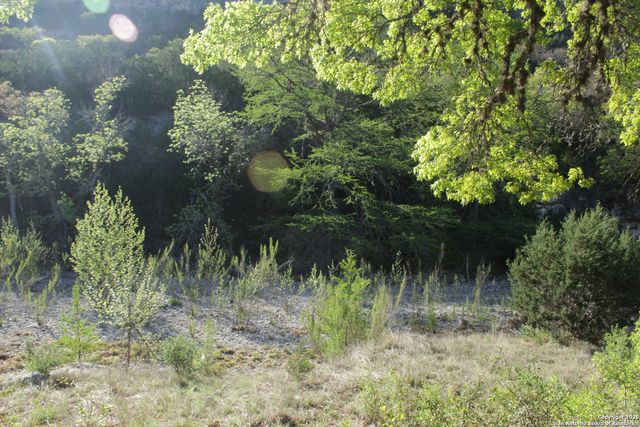 1976 W cedar creek, Leakey, TX 78873