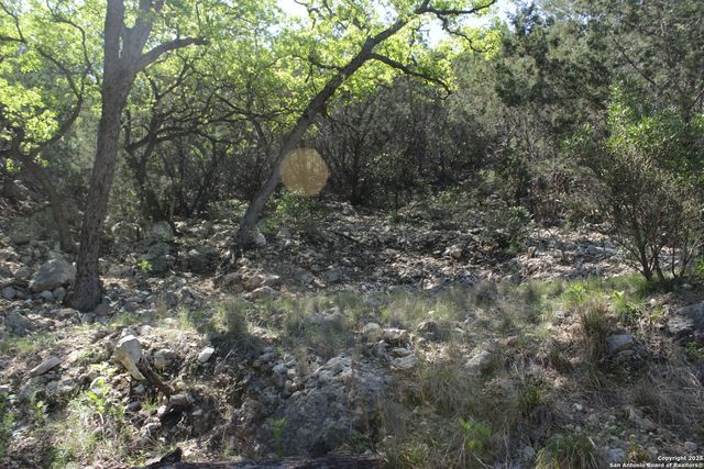 1976 W cedar creek, Leakey, TX 78873