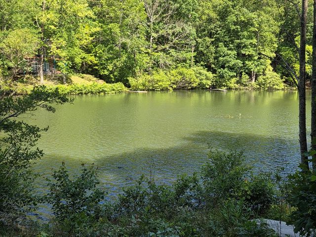 198 Old Dogwood Drive, Murphy, NC 28906
