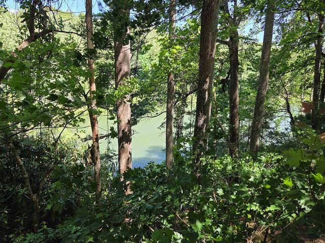 198 Old Dogwood Drive, Murphy, NC 28906