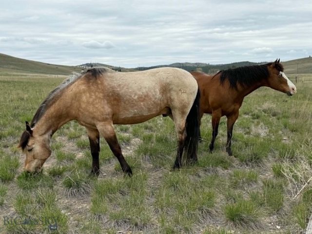 1910 No Creek Court, Helena, MT 59602