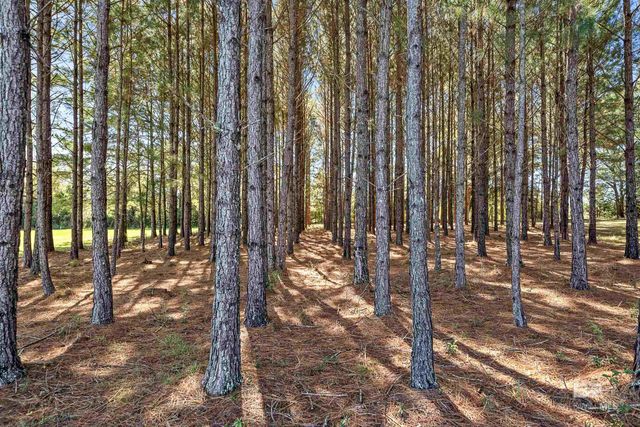 26064 Chatelaine Road, Elberta, AL 36530