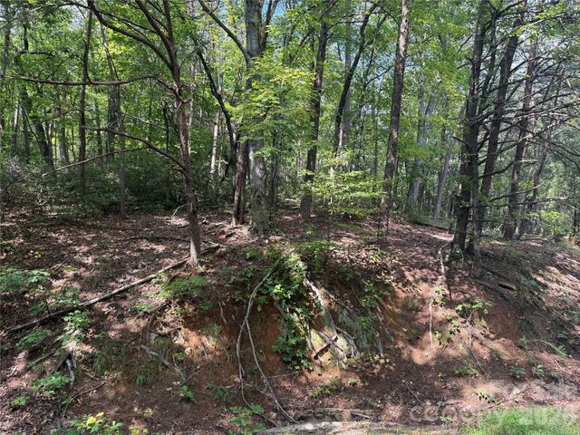 Lot 35 Roundabout Road, Lake Lure, NC 28746