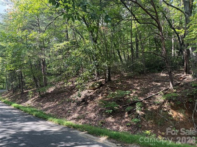 Lot 35 Roundabout Road, Lake Lure, NC 28746