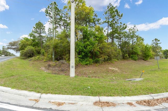 TBD SE 92ND COURT, Belleview, FL 34420