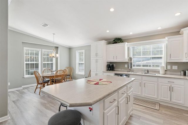 147 ROYAL PALM DRIVE, Leesburg, FL 34748