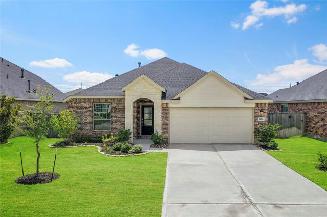 17018 Plover Rock Trail, Hockley, TX 77447