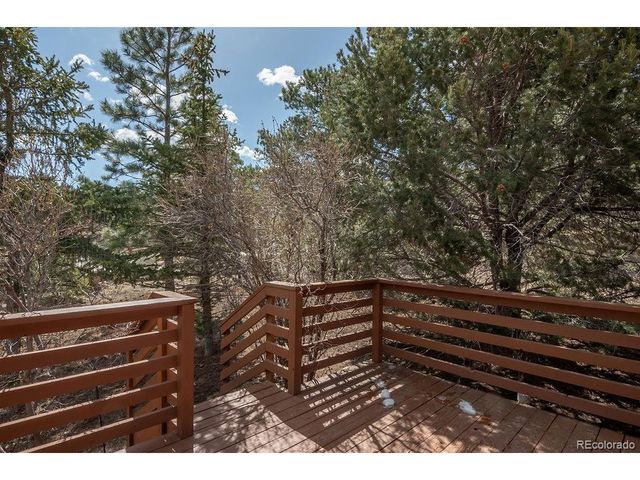 15194 Heywood Ln, Nathrop, CO 81236