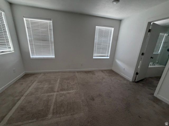 557 N 290 E, Vineyard, UT 84059