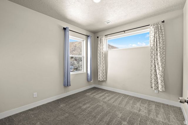 1096 VALLEY SAGE DR, Springville, UT 84663