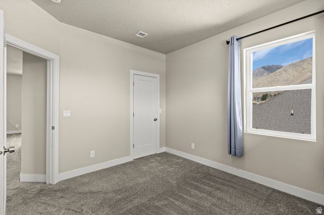 1096 VALLEY SAGE DR, Springville, UT 84663