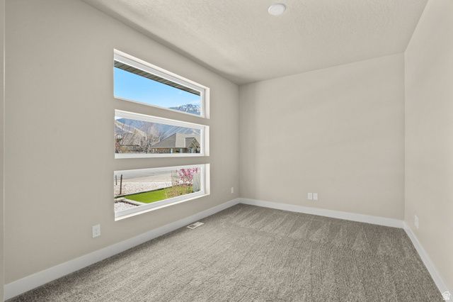 1096 VALLEY SAGE DR, Springville, UT 84663